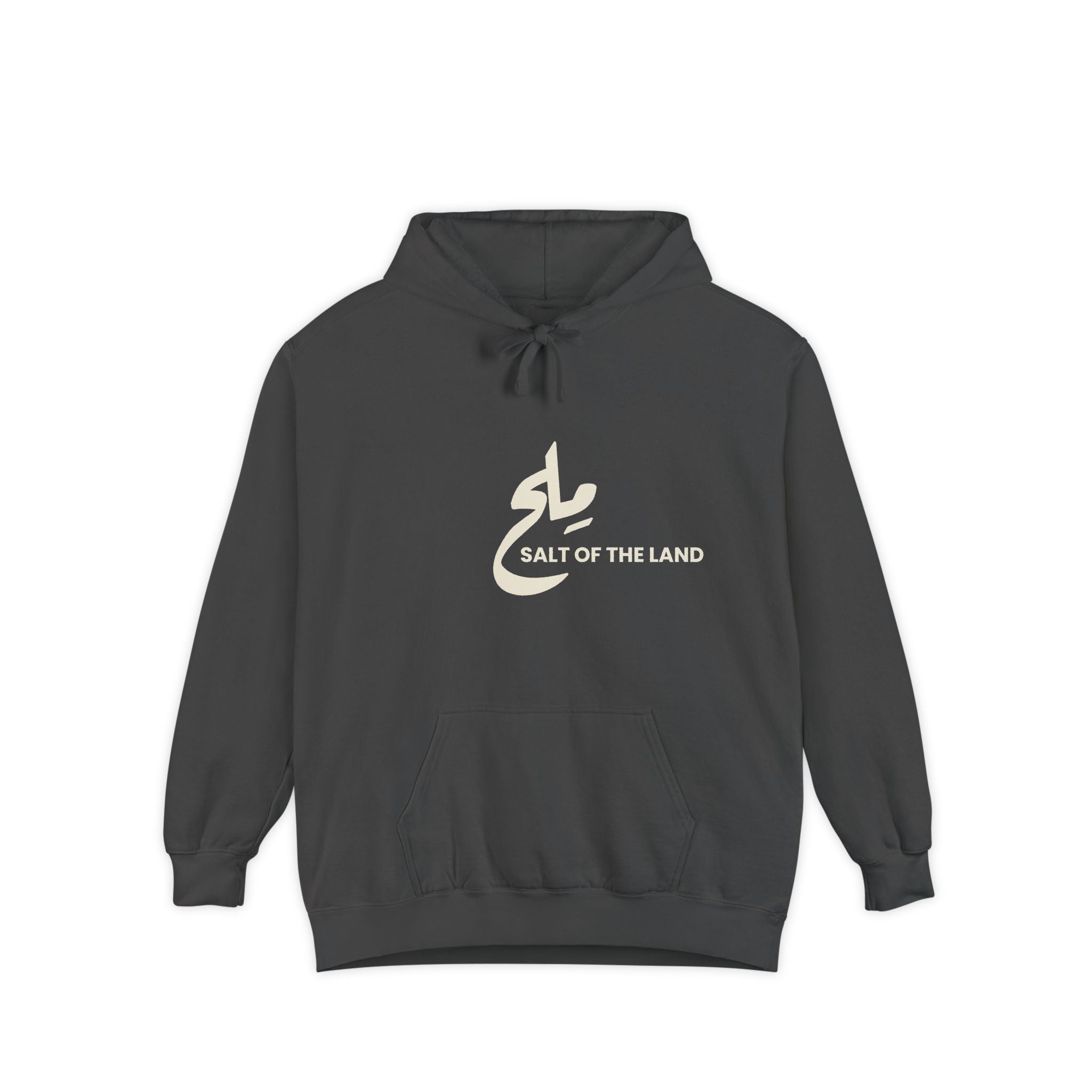 Dark gray hoodie with 'Salt of the Land' logo on a white background