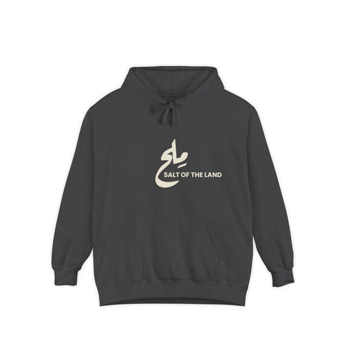 Dark gray hoodie with 'Salt of the Land' logo on a white background